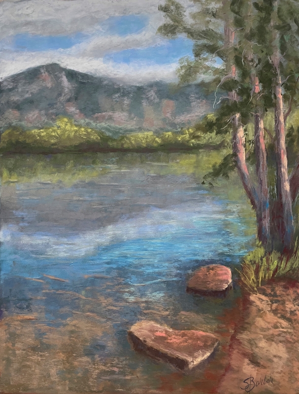 Quail Lake by artist Sherry Barber